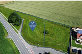 Grundstück zu kaufen in 88339 Bad Waldsee, Großzügiges Baugrundstück in Gaisbeuren / Bad Waldsee