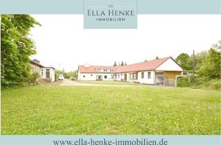 Grundstück zu kaufen in 38704 Liebenburg, 16.800m² Gewerbegrundstück mit Lagerhalle, Wohnhaus, Bürogebäude + 3 Wohnungen.