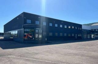 Immobilie mieten in Niederkircherstraße, 54290 Trier, Exklusive Gewerbefläche mit flexibler Flächenaufteilung in Top-Lage von Trier-Euren zu vermieten!