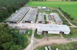Immobilie kaufen in 39615 Aulosen, Große Dachflächen + Hofstelle in der Altmark – ideal für Photovoltaik-Projektentwicklung