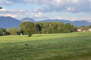 Gewerbeimmobilie kaufen in Grünthalstraße, 83064 Raubling, Landwirtschaftliche Fläche / Ausgleichsfläche in Grünthal zum Verkauf