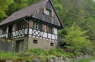 Haus kaufen in 77889 Seebach, Ferienhaus zwischen Waldrand und Wiesenbach mit großem Grundstück