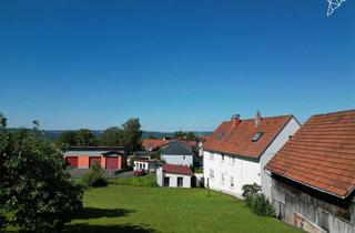 Einfamilienhaus kaufen in 36396 Steinau, WOHNTRAUM MIT WEITLÄUFIGEM GARTEN Modern saniertes Einfamilienhaus mit viel Raum bei Steinau!