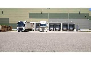 Gewerbeimmobilie mieten in 75417 Mühlacker, Moderne Logistikflächen zu vermieten!