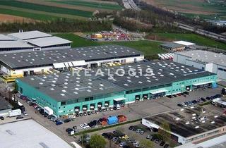 Gewerbeimmobilie mieten in 74354 Besigheim, 8.000m² Logistikhalle ab sofort zu vermieten!