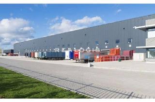 Gewerbeimmobilie mieten in 76661 Philippsburg, Hochwertige Logistikhalle in Top-Lage zu vermieten!