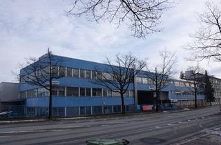Büro zu mieten in Vockenhauserstr, 78048 Villingen-Schwenningen, 1- Zi.Büro 17 qm f. Steuerberater,IT-Büro, Homeoffice etc. Villingen Vockenhauserstr.4