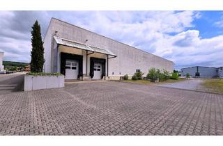 Büro zu mieten in 33790 Halle, Provisionsfreie Lagerhalle mit Hochregallager, 4 Rampen, Büro- und Freiflächen