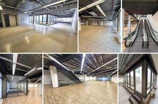 Geschäftslokal mieten in 04109 Leipzig, Gewerbefläche in exquisiter Leipziger City-Lage! 4 Etagen, Rolltreppen, 5 WCs, 2 Atrien, 5 Lifte
