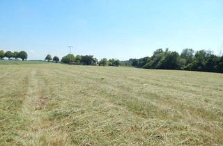 Anlageobjekt in 84529 Tittmoning, Landwirtschaftlicher Grund als Geldanlage - in 84529 Tittmoning/Südbayern, Nähe Leitgeringer See