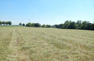 Anlageobjekt in 84529 Tittmoning, Landwirtschaftlicher Grund als Geldanlage - in 84529 Tittmoning/Südbayern, Nähe Leitgeringer See