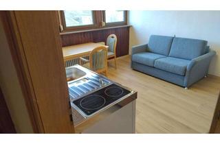 Wohnung mieten in 59755 Arnsberg, Praktische möblierte 1-Zimmer-Wohnung in Arnsberg