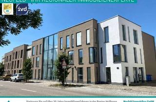 Wohnung mieten in Hauptstraße 29, 74254 Offenau, *Reserviert* Gemütliche 2-Zimmer Wohnung im Herzen von Offenau!