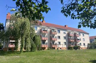 Wohnung mieten in Oskar-Meßter-Straße 13, 06886 Lutherstadt Wittenberg, 3-R-Whg. mit Balkon in grüner Wohnlage zu vermieten