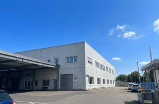 Gewerbeimmobilie mieten in 74921 Helmstadt-Bargen, Ihr neuer Standort: Moderne Gewerbehalle mit Sektionaltor!
