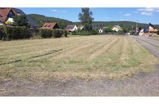 Grundstück zu kaufen in Bahnhofstraße 34, 92548 Schwarzach, Naturnahes Wohnen mit exzellenter Autobahnanbindung, perfektes Baugrundstück mit Ecklage