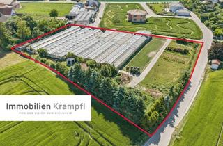 Grundstück zu kaufen in 84100 Niederaichbach, Attraktives Baugrundstück ca. 5.800 m² – vielfältige Nutzungsmöglichkeiten