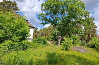 Grundstück zu kaufen in 16515 Oranienburg, attraktive Innenstadtlage