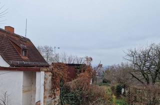 Grundstück zu kaufen in 01326 Loschwitz/Wachwitz, Großzügiges Baugrundstück Loschwitzer Elbhang