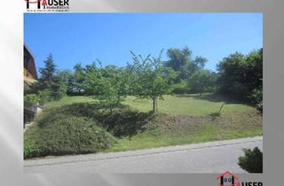 Grundstück zu kaufen in 69234 Dielheim, Dielheim-Horrenberg: 581 m² Grundstück / Hanggrundstück, in guter Wohnlage am Ortsrand.