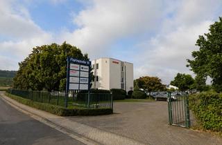 Büro zu mieten in 56218 Mülheim-Kärlich, Bürofläche in verkehrsgünstiger Lage – Mülheim-Kärlich bei Koblenz