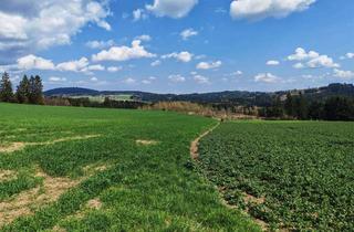 Gewerbeimmobilie kaufen in 95233 Helmbrechts, Waldgrundstück in Helmbrechts / OT Enchenreuth