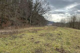 Gewerbeimmobilie kaufen in 83365 Nußdorf, Verkauf einer Wiese – ideal als Freizeitfläche oder Hobbygrund, mit oder ohne Unterstand.