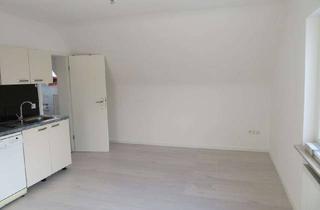 Wohnung mieten in 54523 Hetzerath, Schickes Single-Appartement mit EBK & Spülmaschine