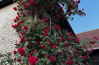 Haus mieten in 76307 Karlsbad, Haus mit großem Garten – viel Freiheit zum Gestalten