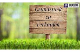 Grundstück zu kaufen in 76744 Wörth, Tolles Grundstück in Randlage von Maximiliansau. Für EFH, DHH und MFH geeignet.