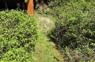 Grundstück zu kaufen in 71263 Weil der Stadt, Wilder, aber schöner Naturgarten/Freizeitgartengrundstück