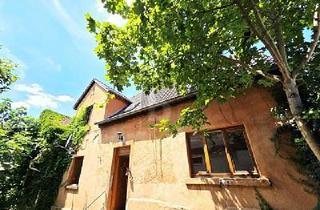 Bauernhaus kaufen in 55296 Lörzweiler, HISTORISCHES HOFENSEMBLE MIT HALLE & WERKSTATT !
