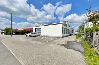 Gewerbeimmobilie kaufen in 71116 Gärtringen, Vielseitig nutzbare Gewerbeimmobilie mit Wohnanteil im Industriegebiet von Gärtringen