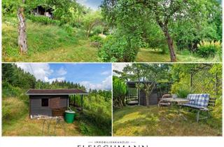 Grundstück zu kaufen in 98527 Suhl, Ihr eigenes Bio-Paradies in Suhl: Pestizidfreier Naturgarten mit Holzhaus, Strom & Ganzjahreswasser!