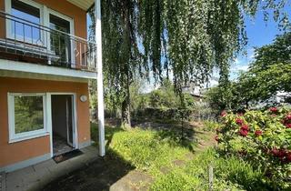 Wohnung mieten in 53639 Königswinter, Königswinter - Helle Souterrainwohnung mit Garten