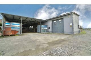Gewerbeimmobilie kaufen in 35649 Bischoffen, Bischoffen - Flexible Gewerbehalle in Bischoffen OT