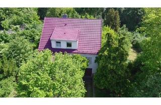 Einfamilienhaus kaufen in Siedlung Des Friedens 53 B, 04571 Rötha, Rötha - Familienfreundliches Wohnen in ruhiger Sackgassenlage - großzügiges Einfamilienhaus mit großem Naturgrundstück in Rötha