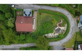 Einfamilienhaus kaufen in 33014 Bad Driburg, Bad Driburg / Neuenheerse - WOW-Effekt Garantiert! Blockhaus mit Bauplatz und Teich - Dein eigenes Natur-Imperium !