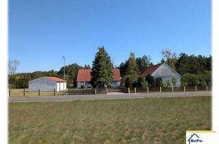 Haus kaufen in Gegensee 41, 17375 Ahlbeck, BePe-Immobilien- Refugium am Fenn - Geräumiger Wohnsitz mit Potenzial, im "Naturpark Am Stettiner Haff"