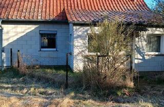 Einfamilienhaus kaufen in 16303 Schwedt, Schwedt (Oder) - Einfamilienhaus mit Garage und Keller nahe Schwedt