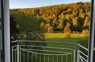 Wohnung mieten in Ernst-Putz-Straße 45, 97769 Bad Brückenau, Blick ins Grüne mit zwei Zimmern in Bad Brückenau