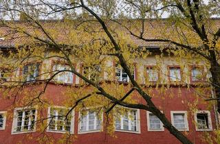 Wohnung mieten in Buggestraße 14, 12163 Steglitz, Sanierte 2-Zimmerwohnung im Altbau nahe Schloßstraße