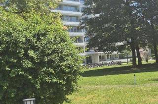 Lofts mieten in Am Stutenanger 8 b, 85764 Oberschleißheim, Sonnige Dachterrassenwohnung/Loft Oberschleißheim bei München