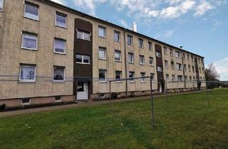 Wohnung mieten in Birkeneck 6 a, 23936 Mallentin, Frisch aus der Sanierung: 2-Zimmer-Wohnung in ländlicher Lage