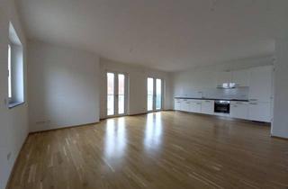Penthouse mieten in Noltemeyerhöfe, 38114 Braunschweig, Top Gelegenheit • Top 2 - Zimmer Penthouse • Dachterrasse • Einbauküche • uvm.