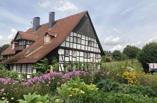 Wohnung mieten in 32825 Blomberg, Schöne 4 Zimmer Maisonettewohnung für Nichtraucher in Ortsteil von Blomberg