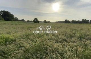Geschäftslokal mieten in 24594 Hohenwestedt, Zum Abmähen oder Verpachten: 1,4 ha Weide/Koppel/Wiese für Schafe, Ziegen, Rinder, Kleintiere,Hühner