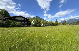 Haus kaufen in 83259 Schleching, Hochwertiges ZFH mit 2 zusätzlichen Appartements und 2 integrierten Garagen in herrlicher Lage