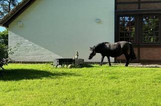 Villa kaufen in 21423 Winsen, Traumhafte Reetdachvilla im Speckgürtel von Hamburg