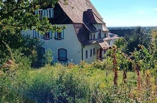 Haus mieten in Darmstädter Straße 11, 64625 Bensheim, Repräsentative Wohnimmobilie